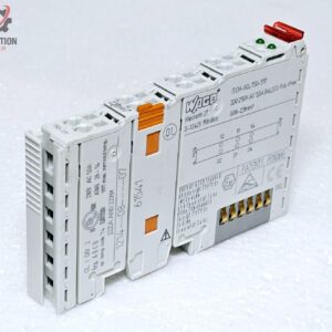 Modulo Uscita Relè Digitale A 2 Canali WAGO 750-517 250V AC 1A
